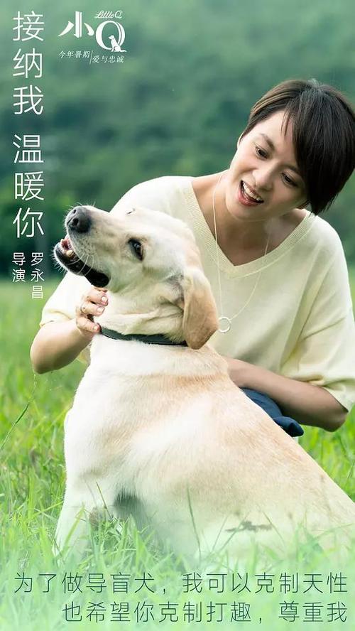 制作贝尔法斯特女王大学文凭毕业证